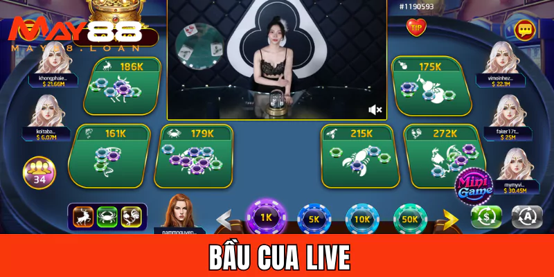 Bầu cua live