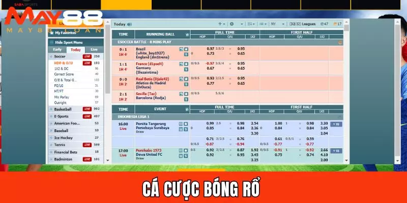 Cá cược bóng rổ