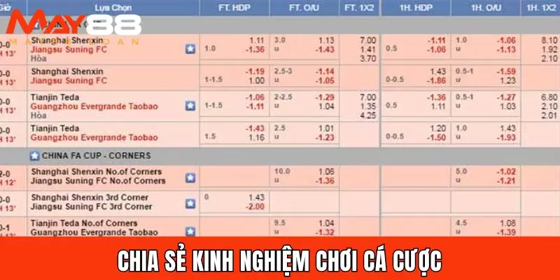 Chia sẻ kinh nghiệm chơi cá cược