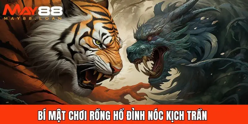 Rồng Hổ