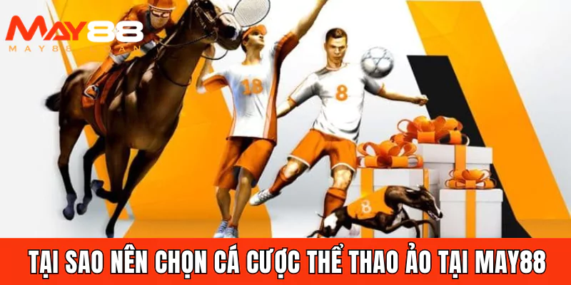 Tại sao nên chọn cá cược thể thao ảo tại May88