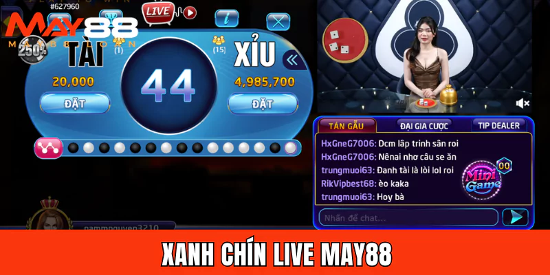 Xanh chín live